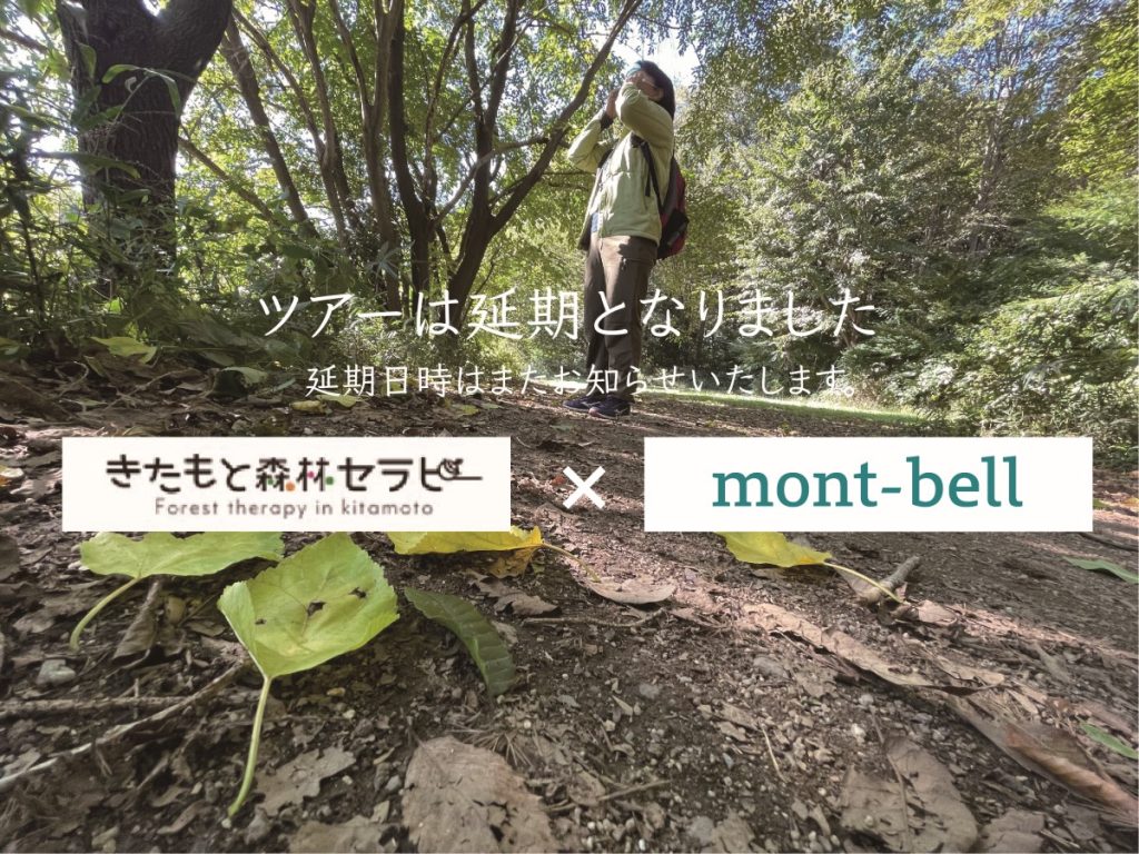延期！きたもと森林セラピー×mont-bell　森林セラピーツアー