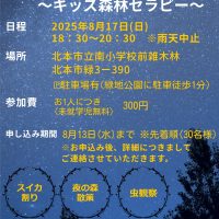⭐夜の森たんけん隊